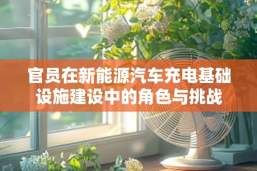 官员在新能源汽车充电基础设施建设中的角色与挑战