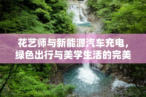 花艺师与新能源汽车充电，绿色出行与美学生活的完美邂逅？