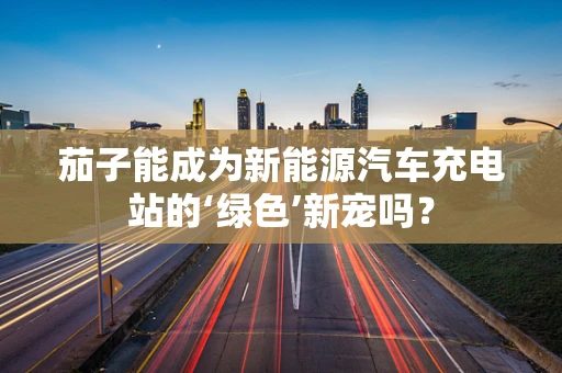 茄子能成为新能源汽车充电站的‘绿色’新宠吗？