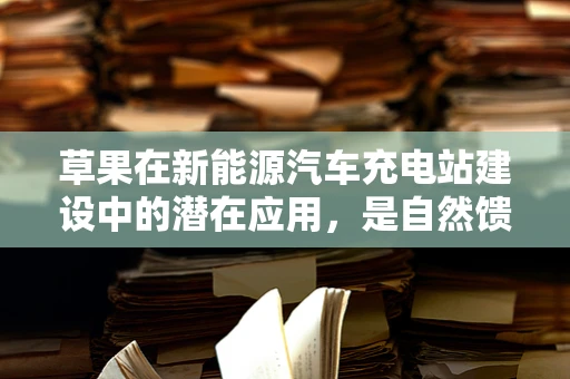 草果在新能源汽车充电站建设中的潜在应用，是自然馈赠还是技术盲区？