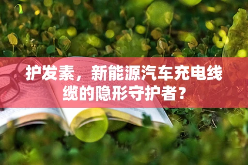 护发素，新能源汽车充电线缆的隐形守护者？