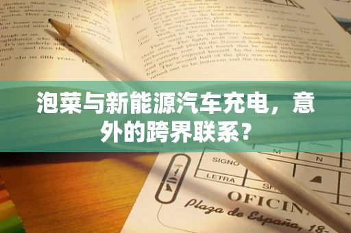 泡菜与新能源汽车充电，意外的跨界联系？