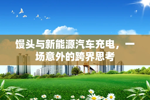 馒头与新能源汽车充电，一场意外的跨界思考