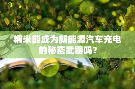 糯米能成为新能源汽车充电的秘密武器吗？