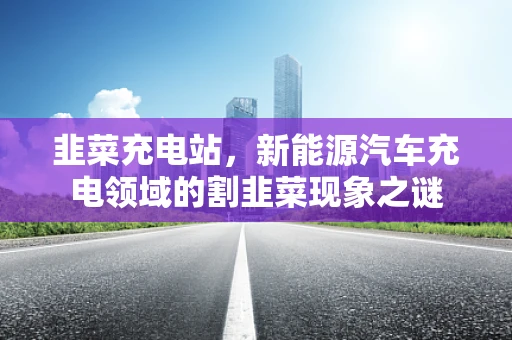 韭菜充电站，新能源汽车充电领域的割韭菜现象之谜
