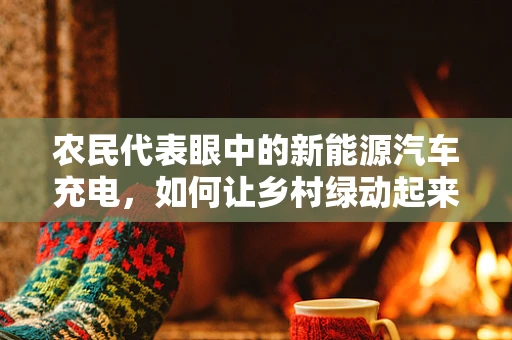 农民代表眼中的新能源汽车充电，如何让乡村绿动起来？