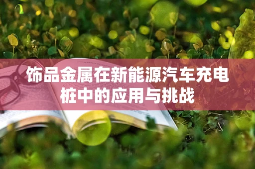 饰品金属在新能源汽车充电桩中的应用与挑战