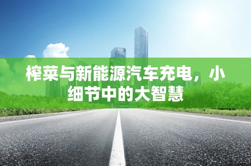 榨菜与新能源汽车充电，小细节中的大智慧