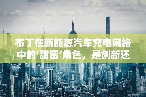 布丁在新能源汽车充电网络中的‘甜蜜’角色，是创新还是噱头？