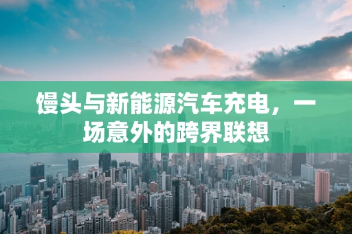 馒头与新能源汽车充电，一场意外的跨界联想