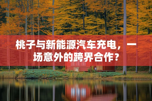 桃子与新能源汽车充电，一场意外的跨界合作？