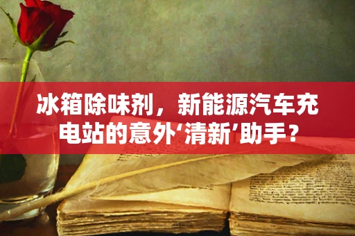冰箱除味剂，新能源汽车充电站的意外‘清新’助手？