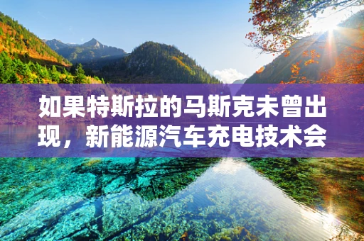 如果特斯拉的马斯克未曾出现，新能源汽车充电技术会由谁引领？