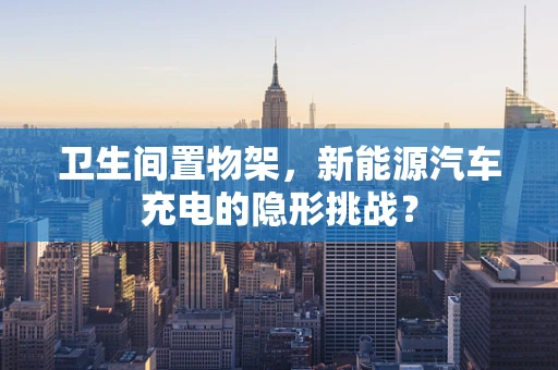卫生间置物架，新能源汽车充电的隐形挑战？