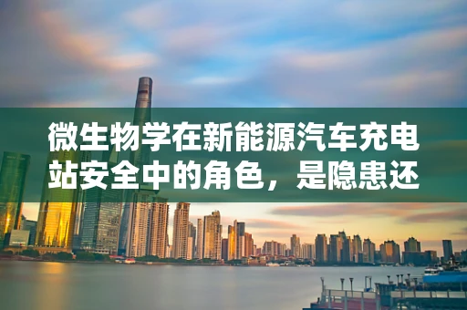 微生物学在新能源汽车充电站安全中的角色，是隐患还是守护者？