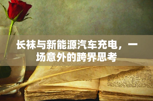 长袜与新能源汽车充电，一场意外的跨界思考