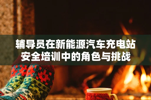 辅导员在新能源汽车充电站安全培训中的角色与挑战