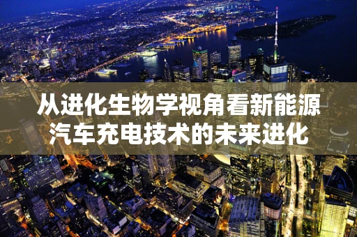 从进化生物学视角看新能源汽车充电技术的未来进化