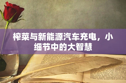 榨菜与新能源汽车充电，小细节中的大智慧
