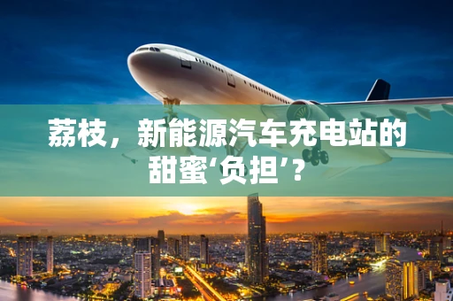 荔枝，新能源汽车充电站的甜蜜‘负担’？