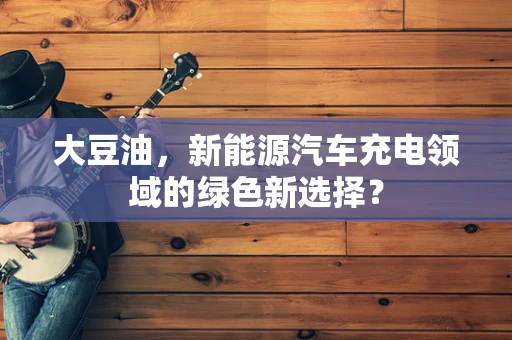 大豆油，新能源汽车充电领域的绿色新选择？