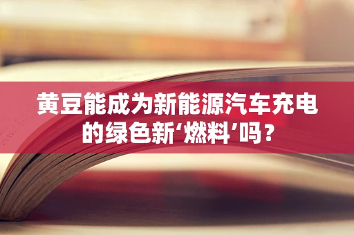 黄豆能成为新能源汽车充电的绿色新‘燃料’吗？