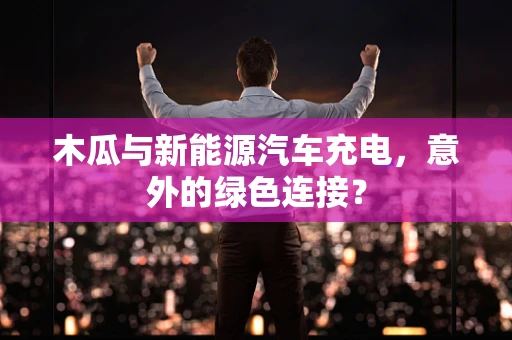 木瓜与新能源汽车充电，意外的绿色连接？