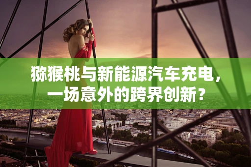 猕猴桃与新能源汽车充电，一场意外的跨界创新？