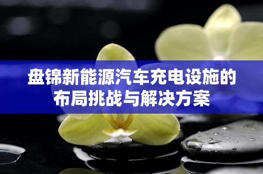 盘锦新能源汽车充电设施的布局挑战与解决方案