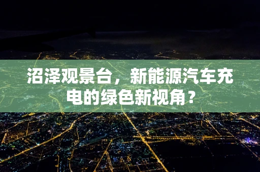 沼泽观景台，新能源汽车充电的绿色新视角？