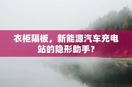 衣柜隔板，新能源汽车充电站的隐形助手？