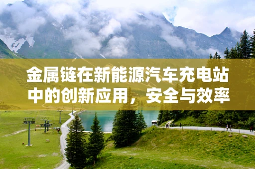 金属链在新能源汽车充电站中的创新应用，安全与效率的双重提升？