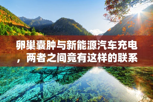 卵巢囊肿与新能源汽车充电，两者之间竟有这样的联系？