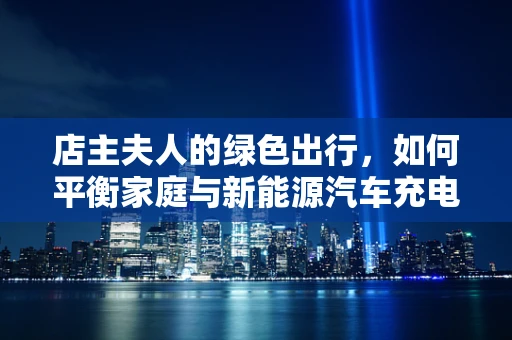 店主夫人的绿色出行，如何平衡家庭与新能源汽车充电站的日常管理？