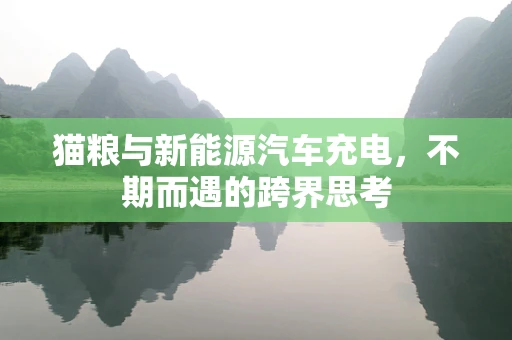 猫粮与新能源汽车充电，不期而遇的跨界思考