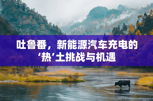 吐鲁番，新能源汽车充电的‘热’土挑战与机遇
