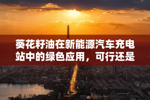 葵花籽油在新能源汽车充电站中的绿色应用，可行还是噱头？