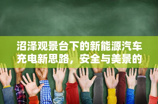 沼泽观景台下的新能源汽车充电新思路，安全与美景的和谐共存？