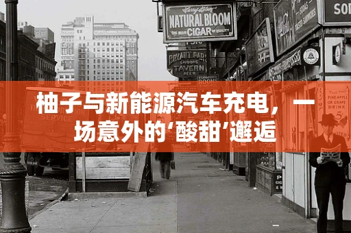 柚子与新能源汽车充电，一场意外的‘酸甜’邂逅
