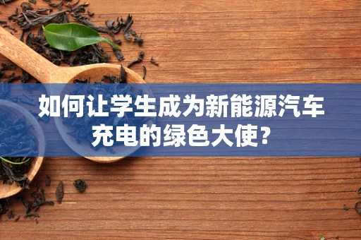 如何让学生成为新能源汽车充电的绿色大使？