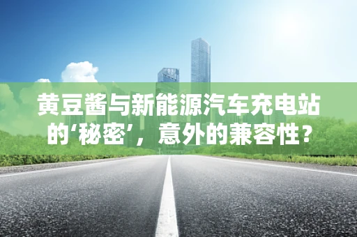 黄豆酱与新能源汽车充电站的‘秘密’，意外的兼容性？