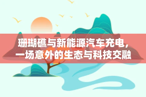 珊瑚礁与新能源汽车充电，一场意外的生态与科技交融