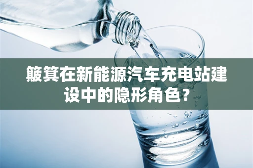 簸箕在新能源汽车充电站建设中的隐形角色？