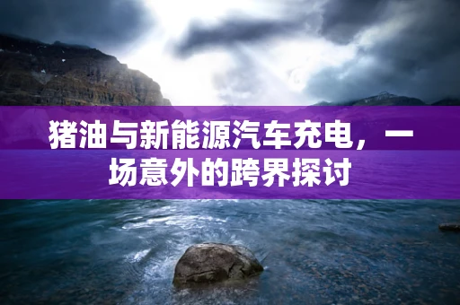 猪油与新能源汽车充电，一场意外的跨界探讨