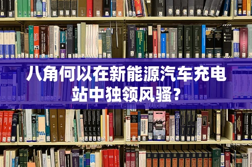 八角何以在新能源汽车充电站中独领风骚？