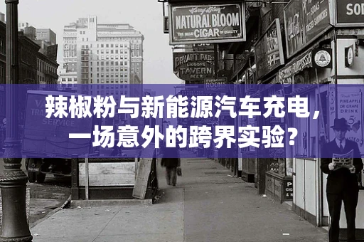 辣椒粉与新能源汽车充电，一场意外的跨界实验？