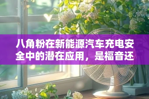 八角粉在新能源汽车充电安全中的潜在应用，是福音还是隐忧？