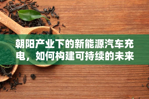 朝阳产业下的新能源汽车充电，如何构建可持续的未来？