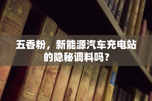 五香粉，新能源汽车充电站的隐秘调料吗？