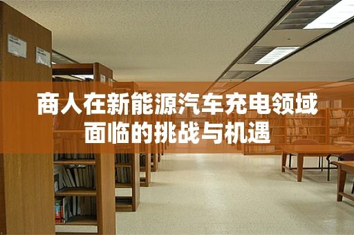 商人在新能源汽车充电领域面临的挑战与机遇